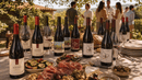 One Last Toast to Summer: California Pinot Noir 12 Bottles
