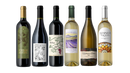 Sip & Discover Collection | 6 Bottles