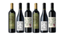 Sip & Discover Collection | 6 Bottles