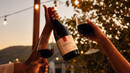 One Last Toast to Summer: California Pinot Noir 12 Bottles