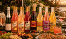 Summertime Party Wines 15-Pack
