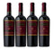 Saint Patrick's Day Gold Medal 4-Pack - Ty Caton Vineyards